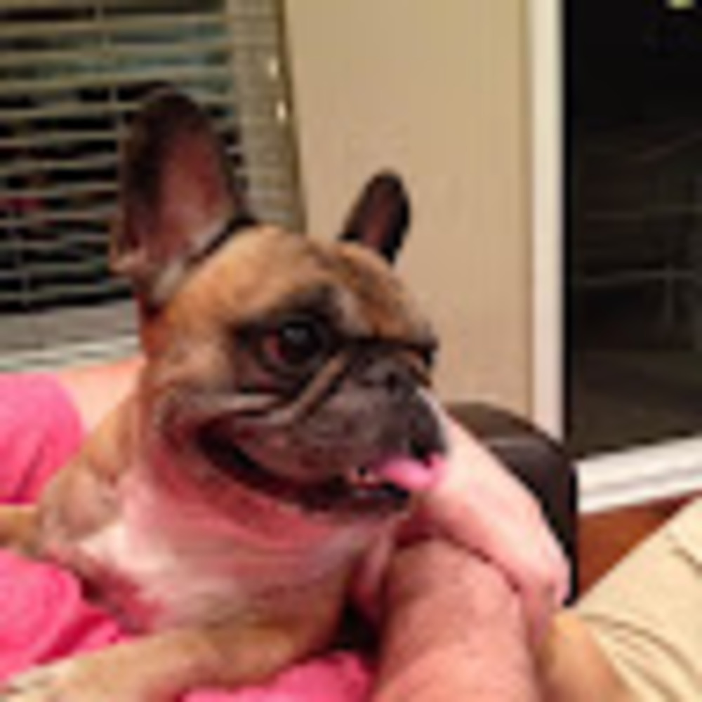 Meet your Posher, Angela